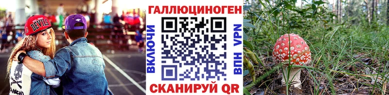 дарнет шоп  MEGA как зайти  Псилоцибиновые грибы Psilocybine cubensis  Темников 